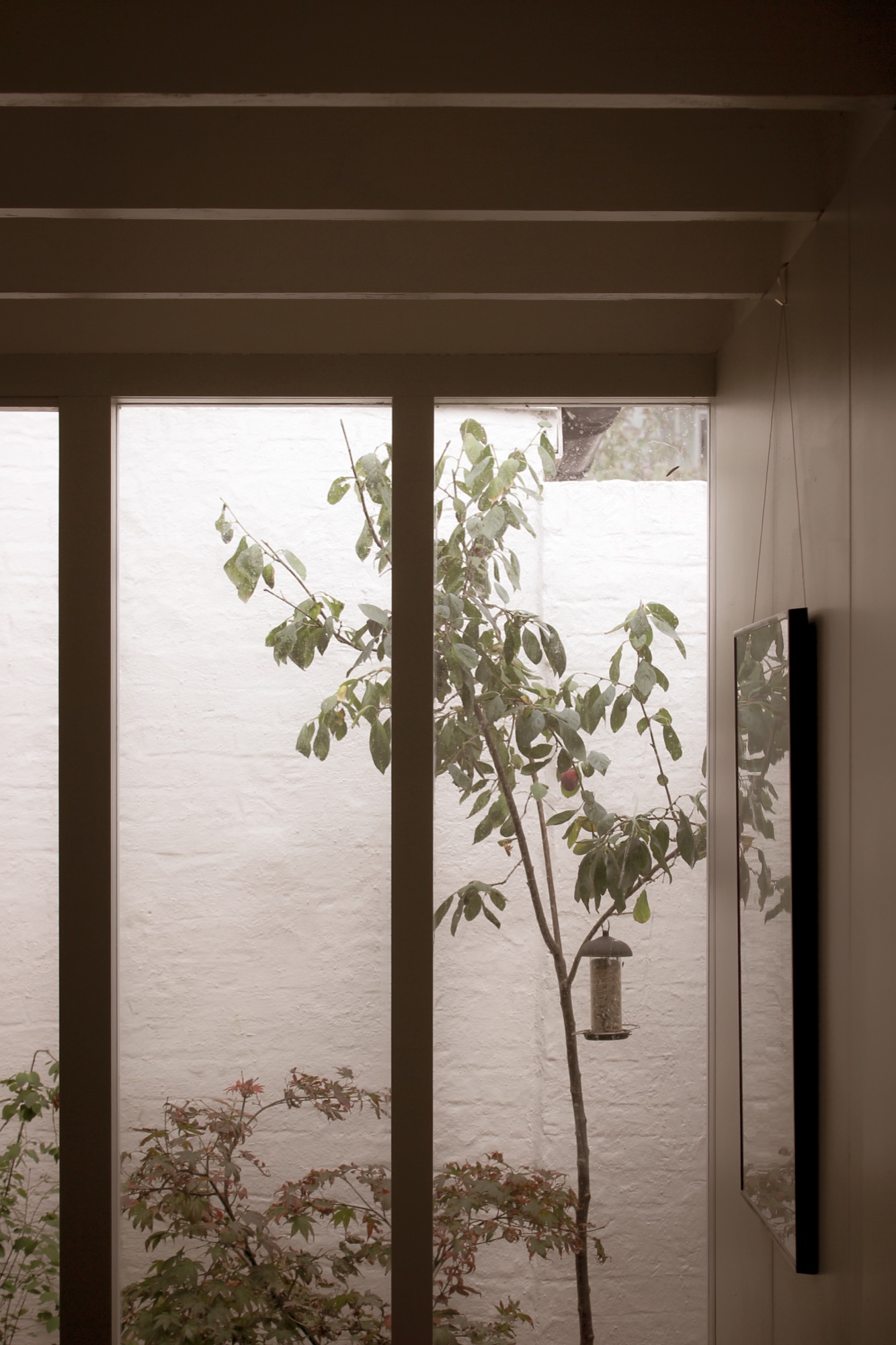 Rosedene Terrace, London